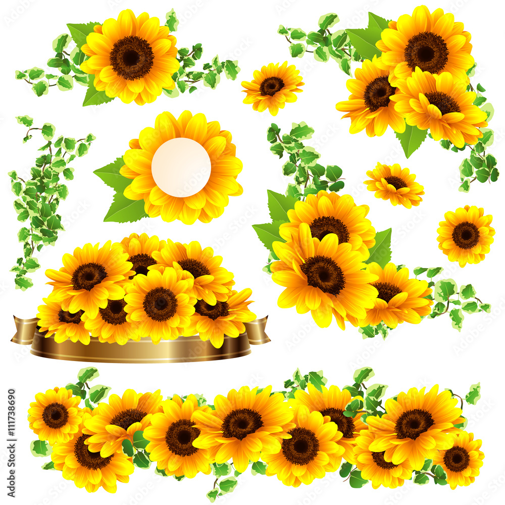 向日葵の綺麗なフレーム Stock Vector Adobe Stock