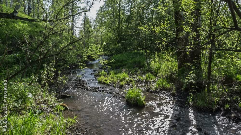 creek flows among spring forest creek flows among spring forest