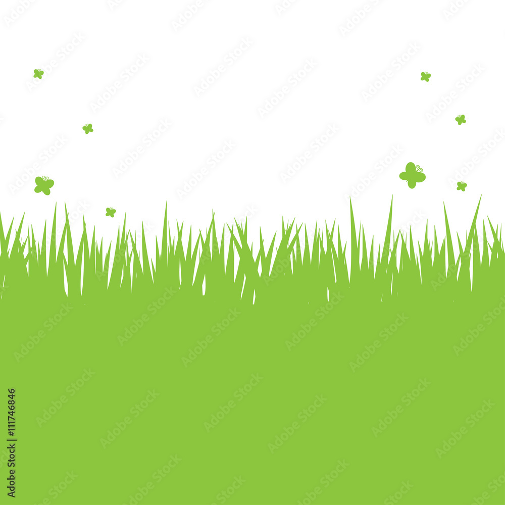 Fototapeta premium Silhouette of green grass on a white background.