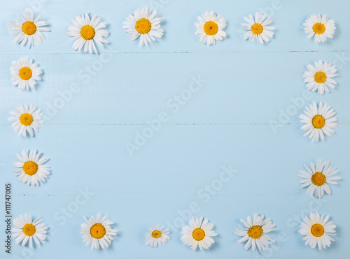 Summer Floral heart frame pattern with chamomile daisy  flower over blue vintage wooden background. Love concept,  top view. © Irina Sokolovskaya