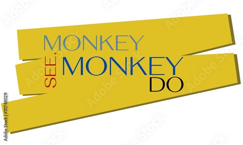 Monkey see, monkey do proverb.