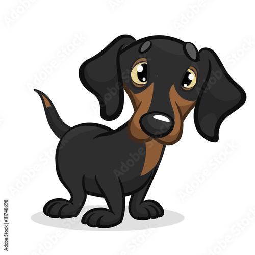 Cartoon Vector Illustration of Cute Purebred Dachshund Dog. Isolated on white background
