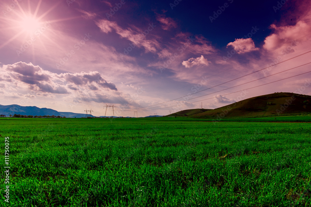 Obraz premium grass field and white clouds