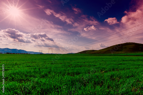 grass field and white clouds