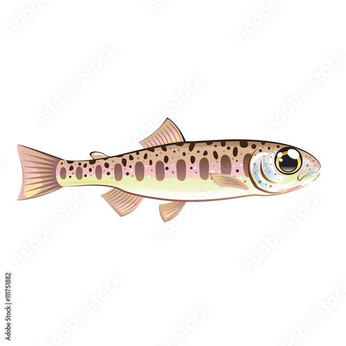 Baby trout cartoonified vector Art fish farm