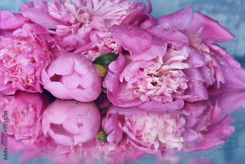 Fresh delicate pink peonies with drops of dew on a beautiful azure background and reflection. Background
