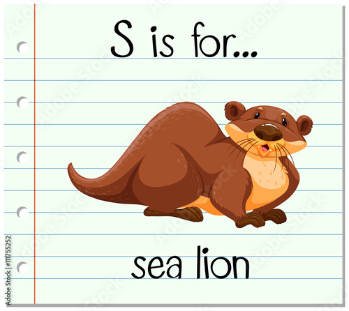 Flashcard letter S is for sea lion