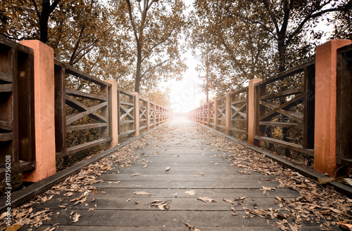 vantage nature background. wooden bridge and falling leaves with sunlight beam