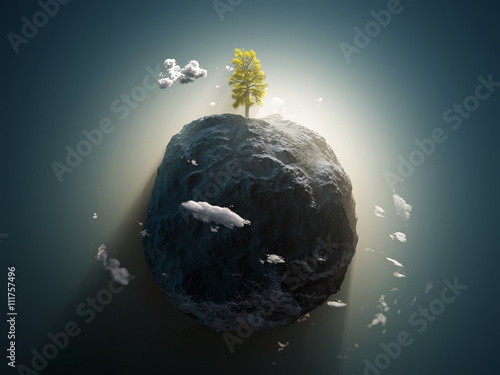 lonely tree on the stone planet photo