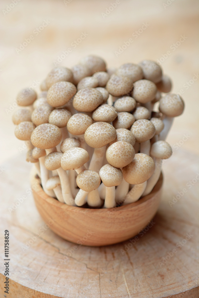 brown shimeji mushrooms or enokitake mushrooms in wooden bowl, fresh shimeji mushrooms brown shimeji mushrooms or enokitake mushrooms in wooden bowl, fresh shimeji mushrooms