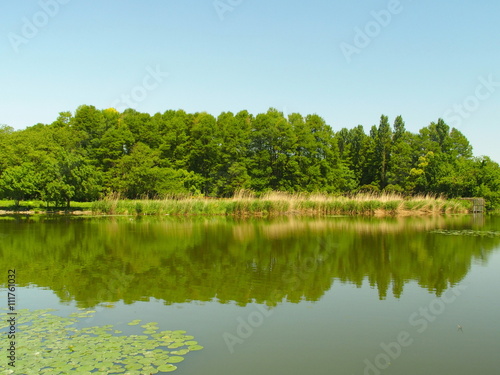 対岸からの水元公園風景