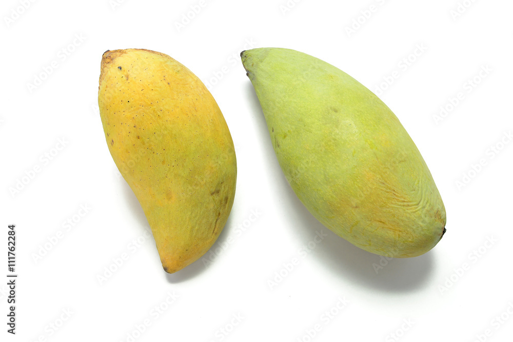 mango fruit isolated on white background mango fruit isolated on white background