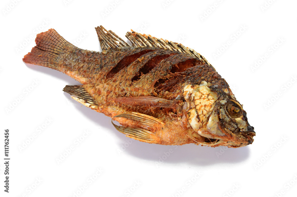 Fried Tilapia fish fried isolated on white background Fried Tilapia fish fried isolated on white background
