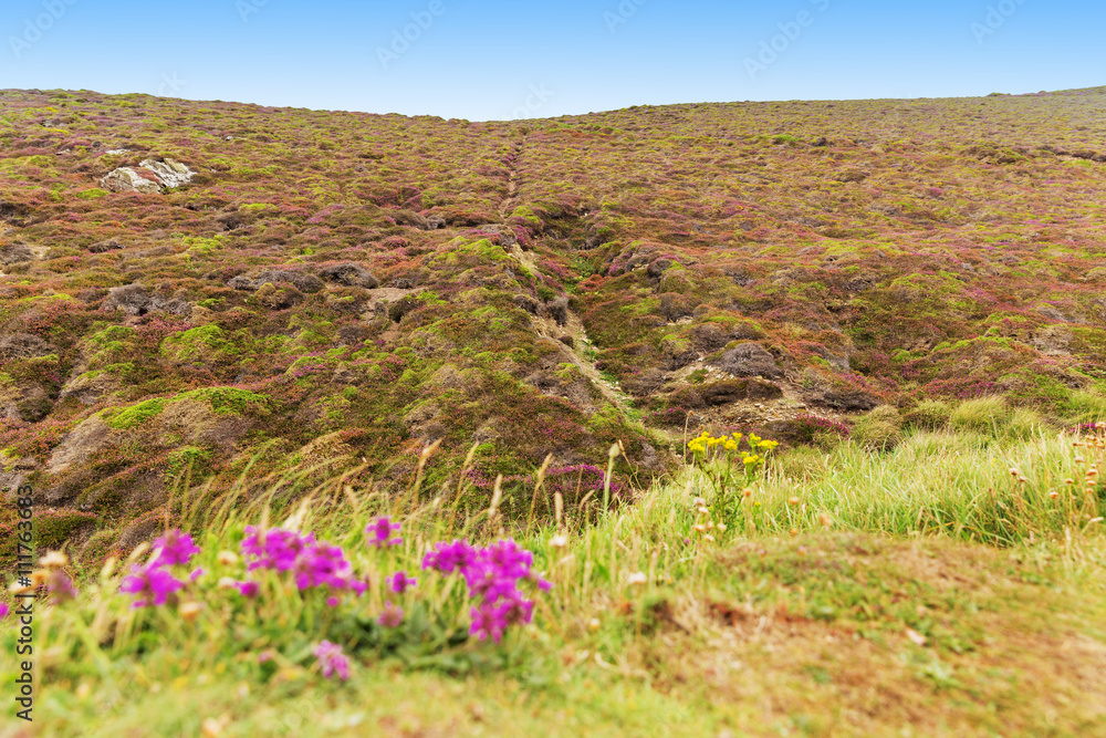 Obraz premium Popular St Agnes and Chapel Porth Atlantic ocean coast, Cornwall