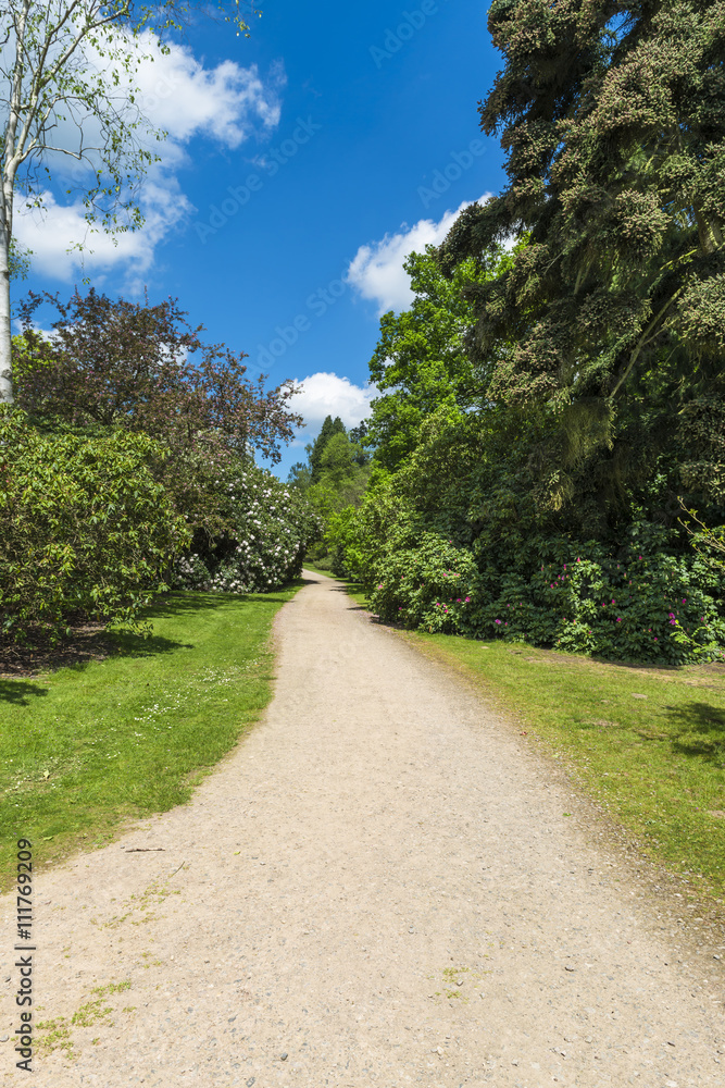 A path througn Virginia Water Park in Surrey, UK