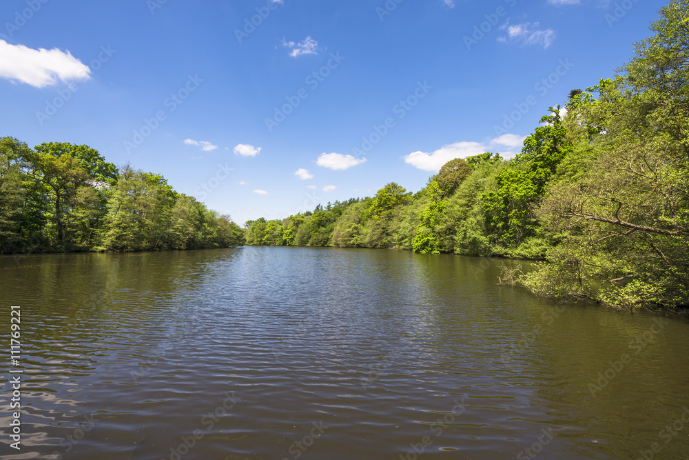 Obraz premium A lake in Virginia Water Park in Surrey, UK