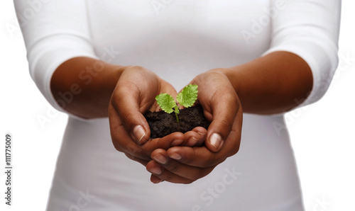 african american woman hands holding plant in soil