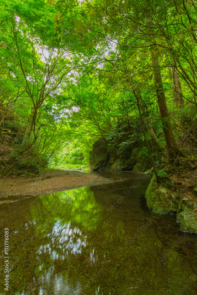 Obraz premium 渓谷の風景