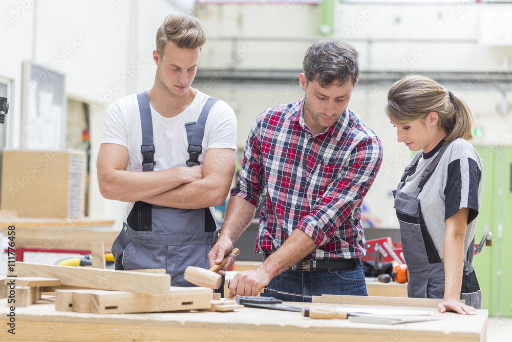 young apprentice with professional carpenter young apprentice with professional carpenter