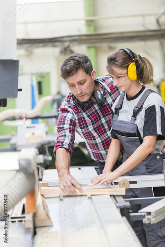 young apprentice with professional carpenter