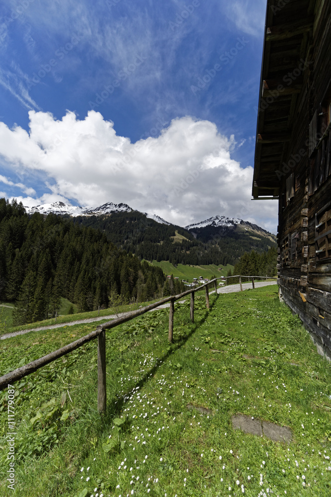 Fototapeta premium mountain landscape