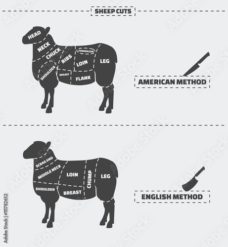 Cuts of lamb meat.