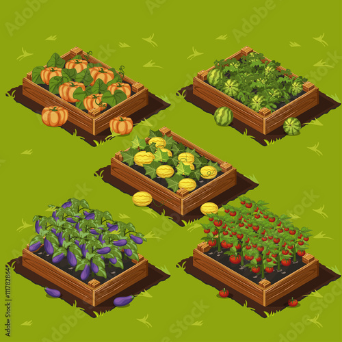 Vegetable Garden Box