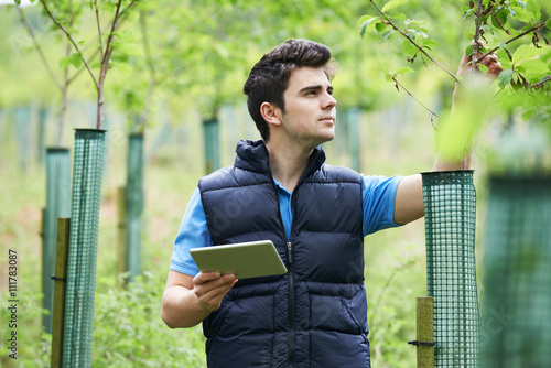 Forestry Worker With Digital Tablet Checking Young Trees photo
