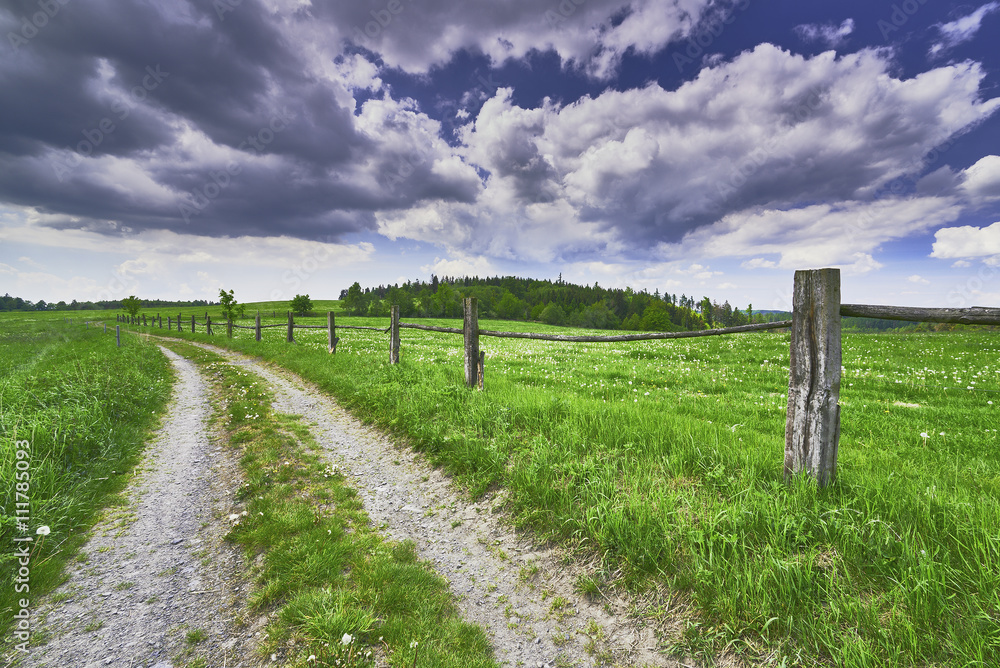 Path with fence