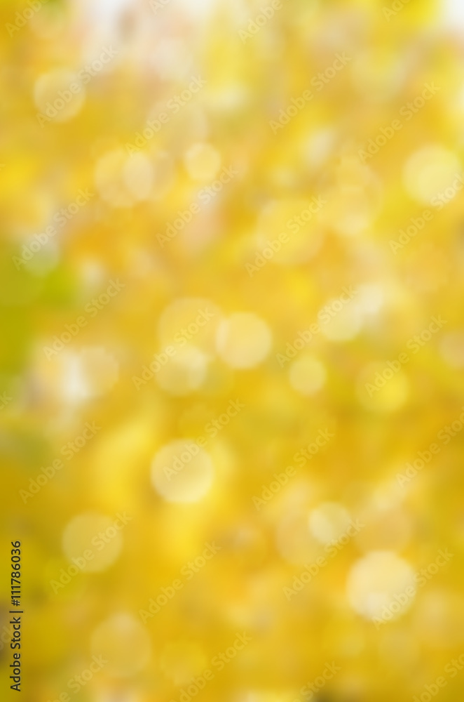 Obraz premium Vector leaf fall abstract background