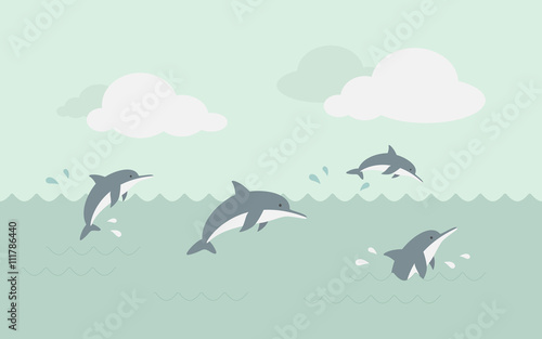 dolphins in the ocean