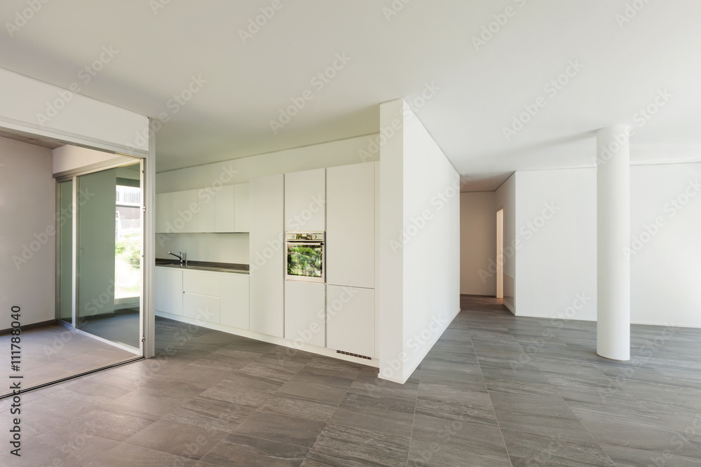 Fototapeta premium Interior, wide room with domestic kitchen