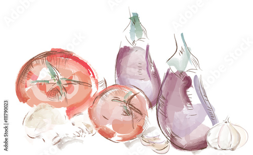 Watercolor vegetables. Tomatoes, Aubergine, Mushrooms and Garlic