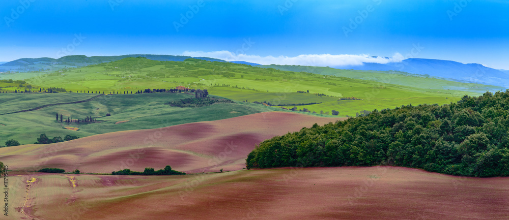 Typical tuscany landscape, Vale D'Orcia, Italy. Typical tuscany landscape, Vale D'Orcia, Italy.