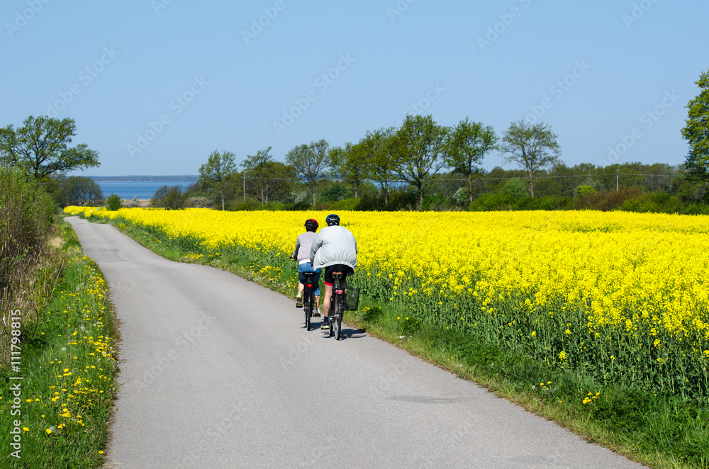Naklejka premium Cyclists in a spring colored landscape