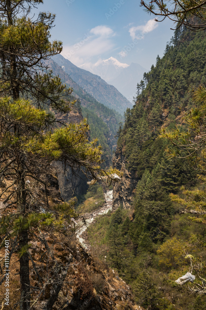 The trail in the Himalayas
