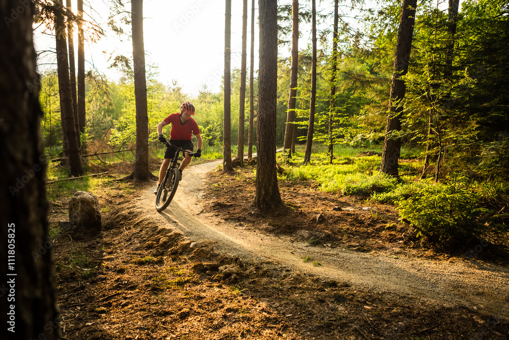 Fototapeta premium Mountain biker riding cycling in summer forest