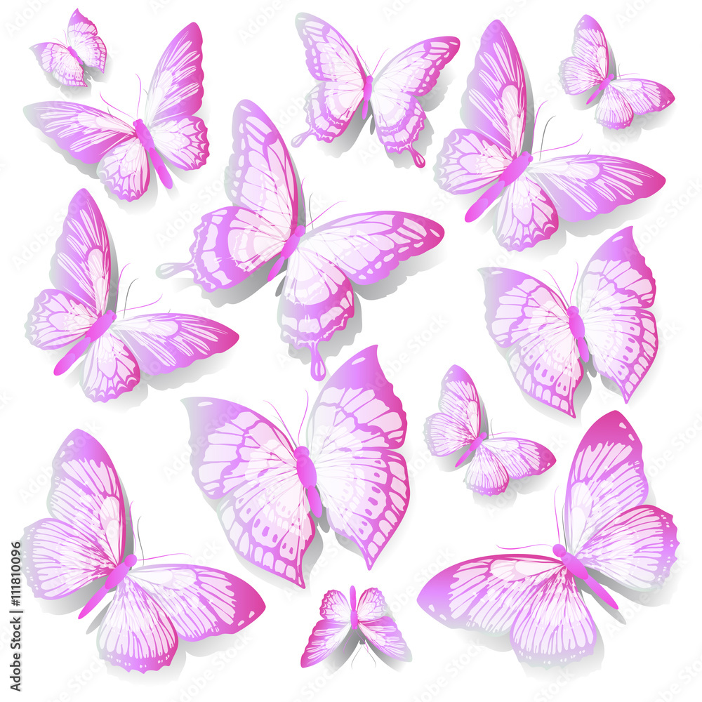 butterflies design butterflies design