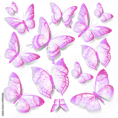 butterflies design