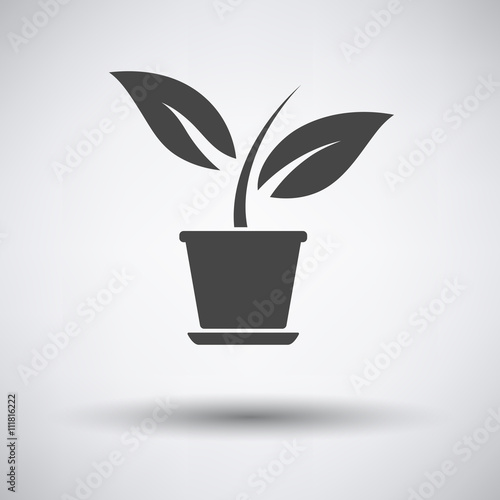 Plant in flower pot icon on gray background with round shadow. Vector illustration.