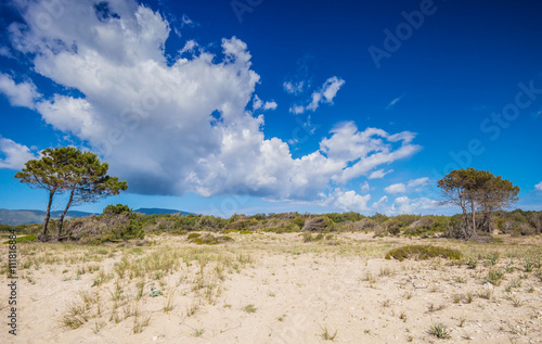 Desert or sandy dunes in hot summer day Zakynthos Greece © leszekglasner