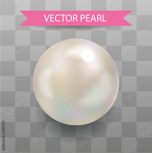 Vector pearl. Realistic Pearl. Transparent Background.