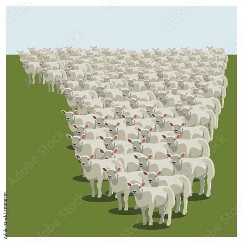Animal sheep herd queuing, vector