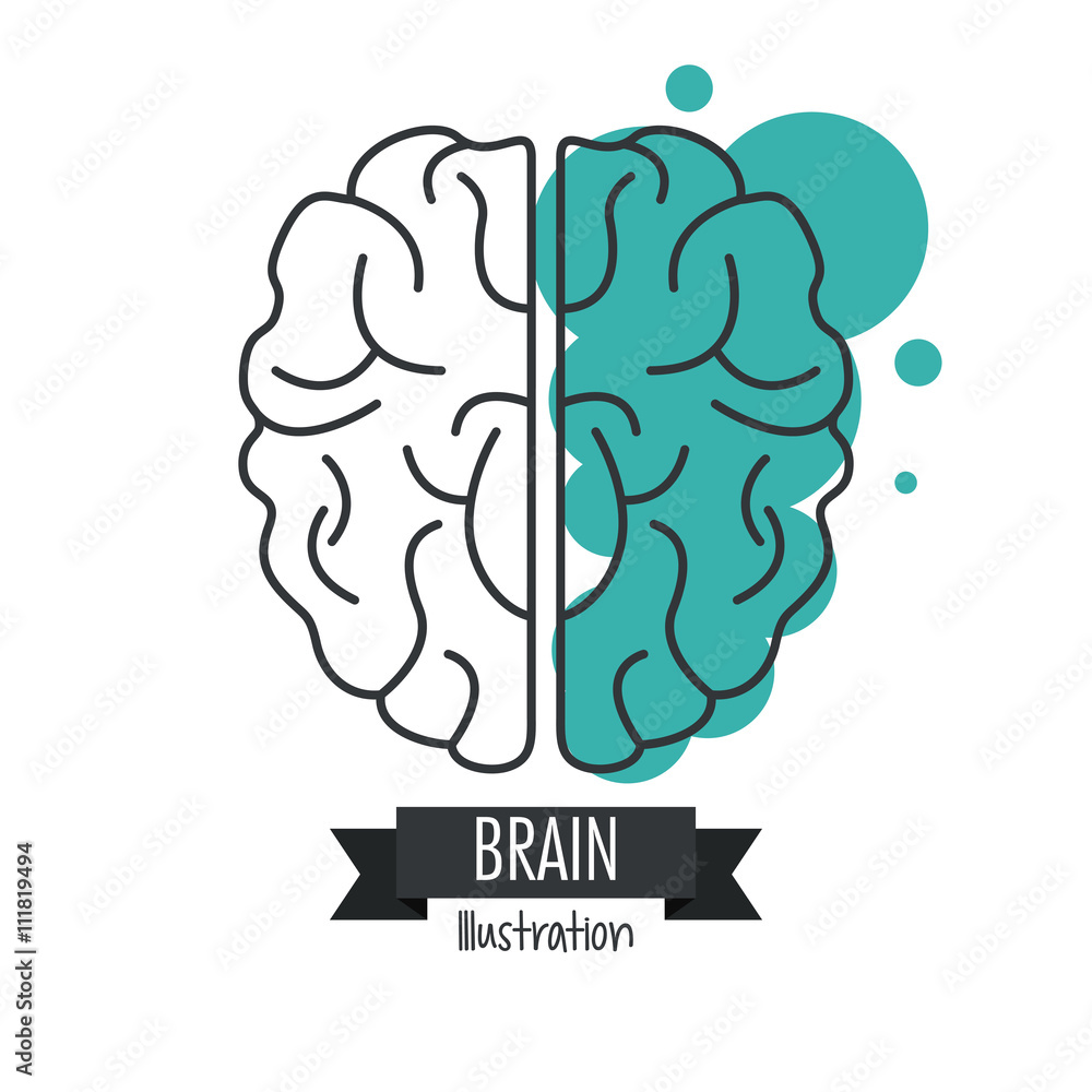 Brain design. Mind concept. White background , editable vector Brain design. Mind concept. White background , editable vector