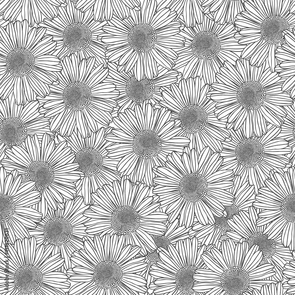 Linear seamless pattern - chamomile flowers Linear seamless pattern - chamomile flowers
