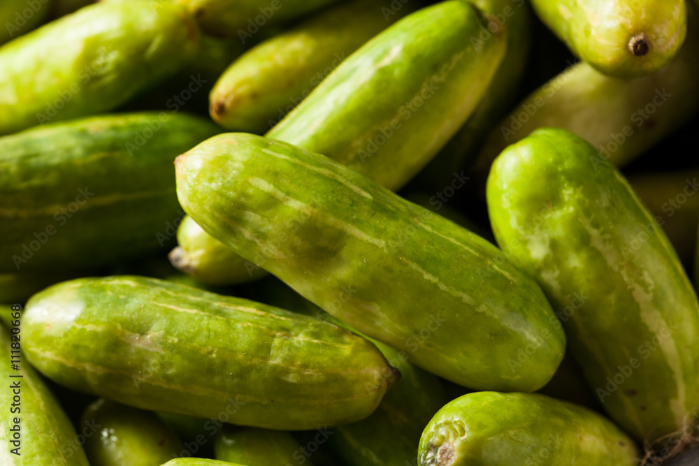 Raw Green Organic Tindora Raw Green Organic Tindora