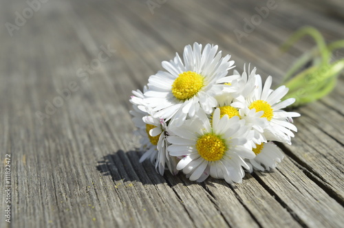 white daisy bouquet on wooden bench