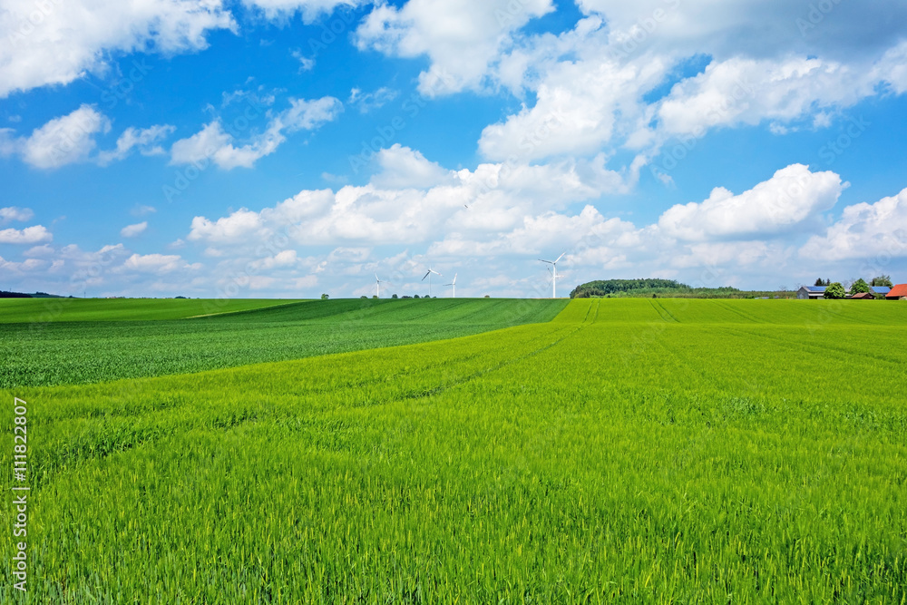 Green field, farmland - blue sky with clouds