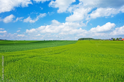 Green field, farmland - blue sky with clouds
