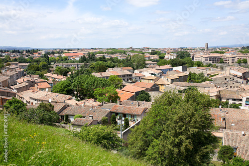 lavandes en Provence